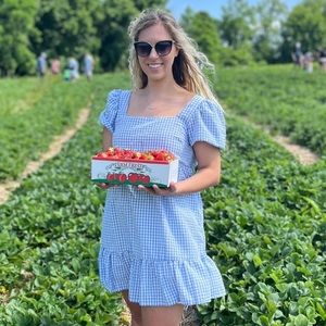 Mini blue gingham dress. Baby doll style dress.